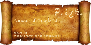 Pandur Árpád névjegykártya
