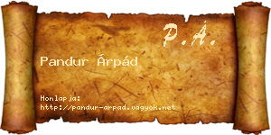 Pandur Árpád névjegykártya