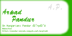 arpad pandur business card